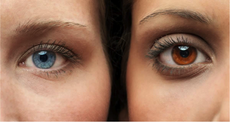 Brown eyes have an extra layer of pigment making them look brown, but in reality they are blue underneath. 

