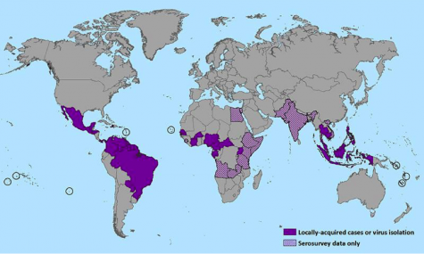Emerging Virus Spreads Across Brazil