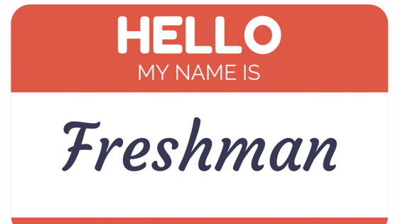 Year in Review: The Freshman Experience